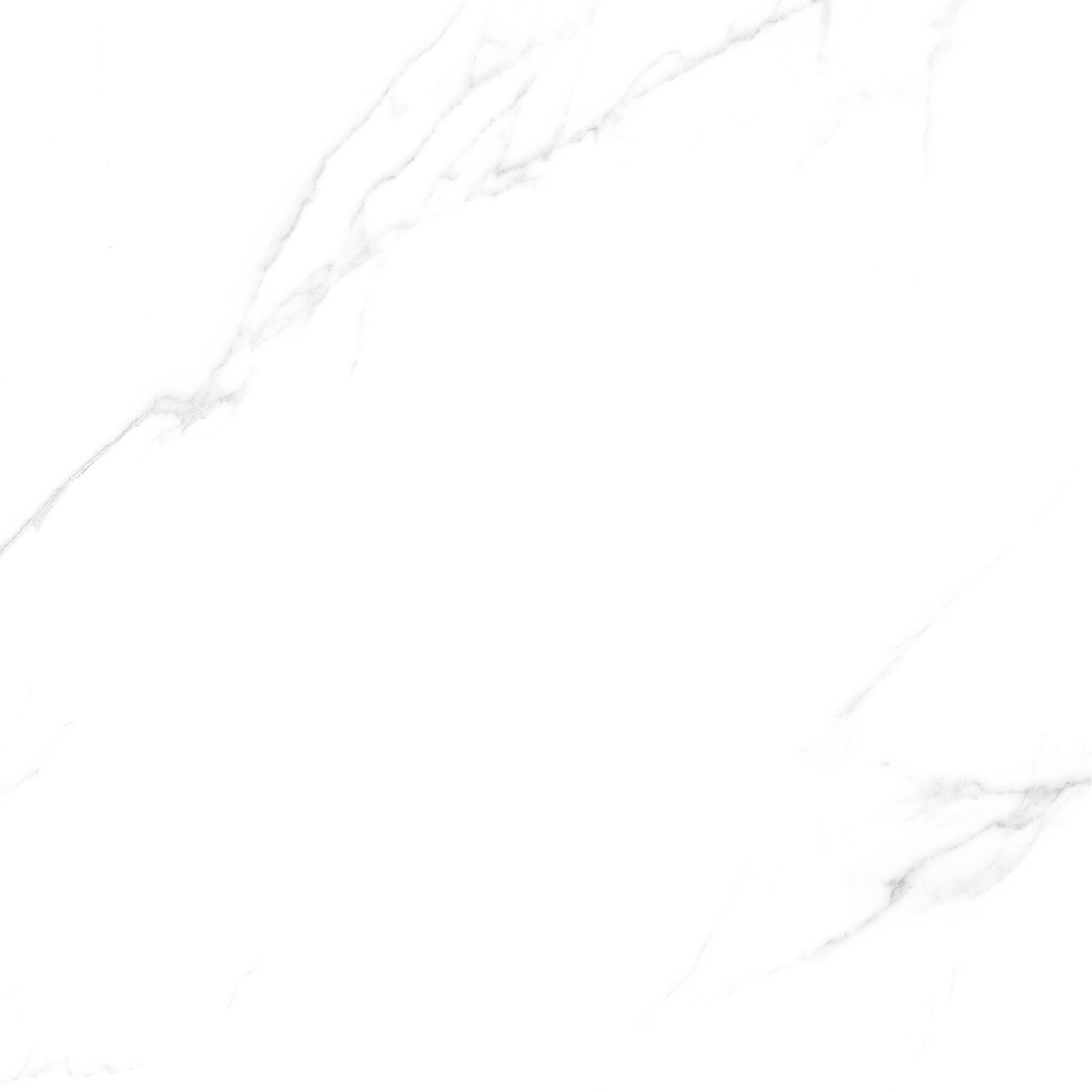 OFTT82999 銀河白
